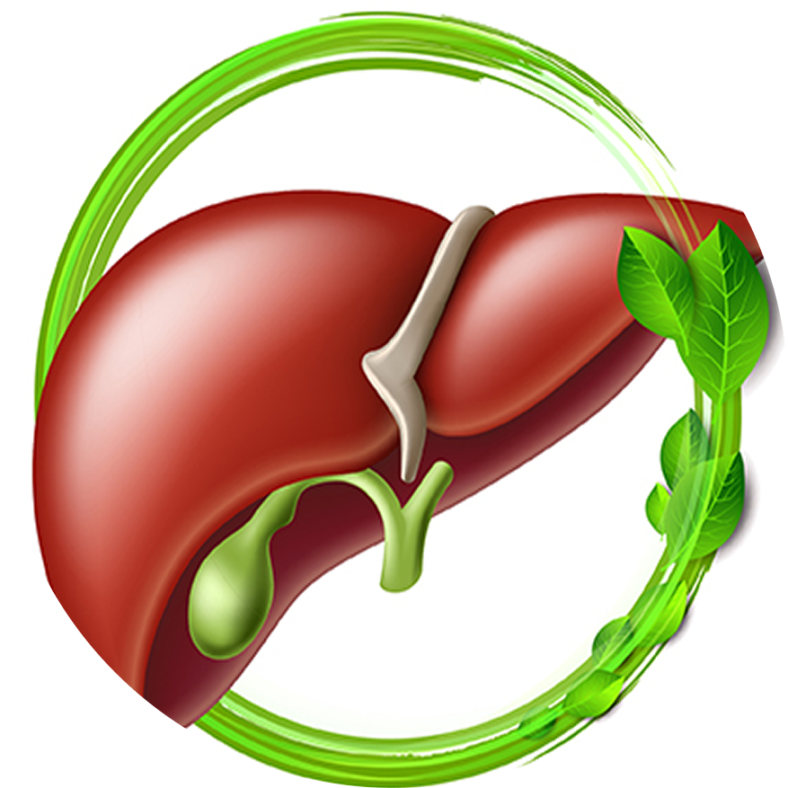 Liver Support